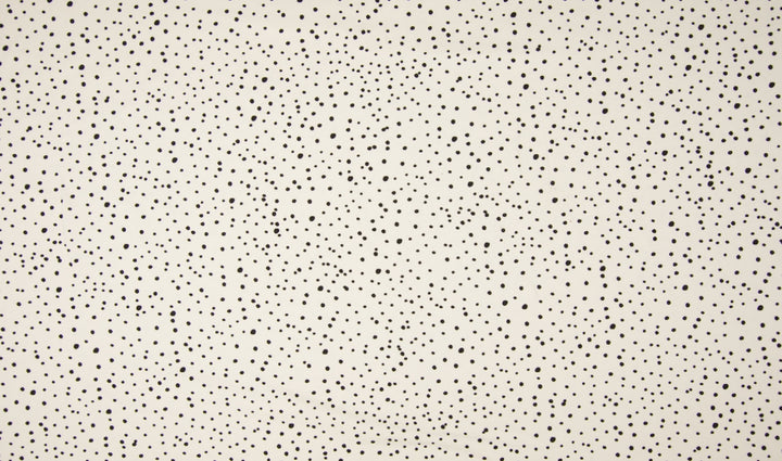 Baumwolle Poplin Punkte // schwarz auf off-white
