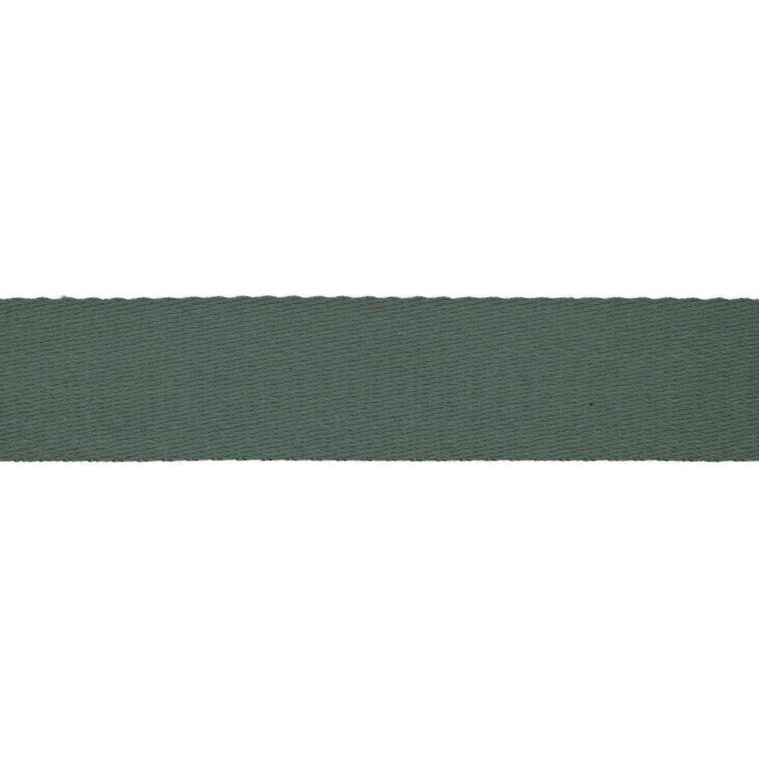 Gurtband Soft Uni 40 mm // pastellgrün